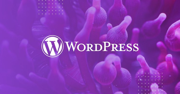 WordPress